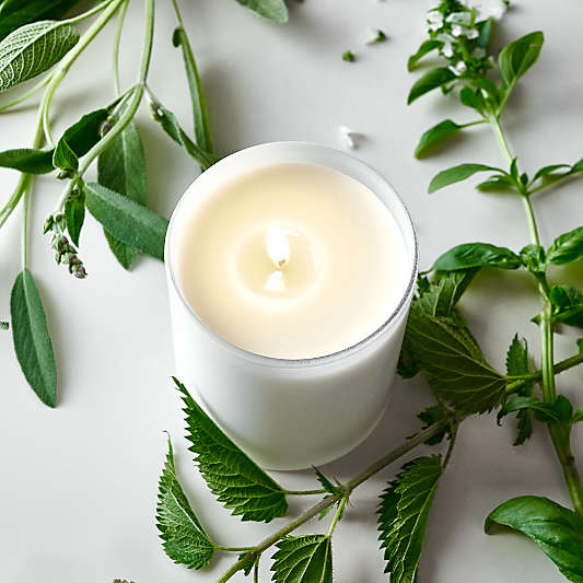 Monochrome No. 01 Blanc Scented Candles and Diffuser - Basil, Nettle Flower and Sage