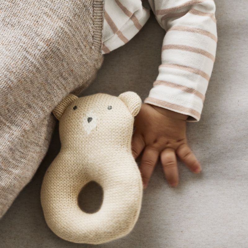 Bear Knit Lovey and Rattle Gift Set - image 3 of 9