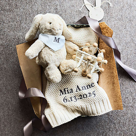 Arctic Snuggles & Sensory Baby Gift Set