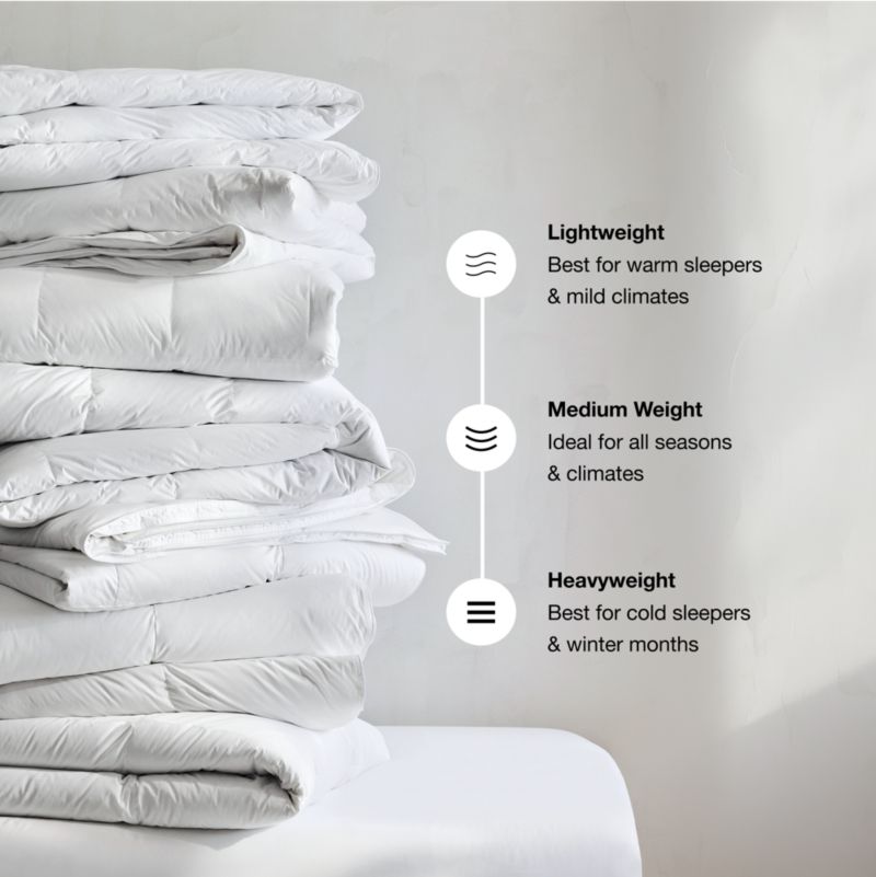 Down-Alternative Lightweight Full Bedding Insert Bundle with Soft Pillows and Protectors - image 1 of 2