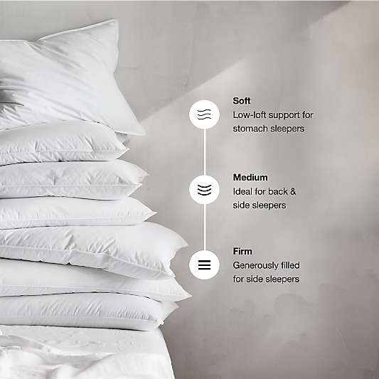 Organic Cotton Standard Pillow Protector, Set of 2