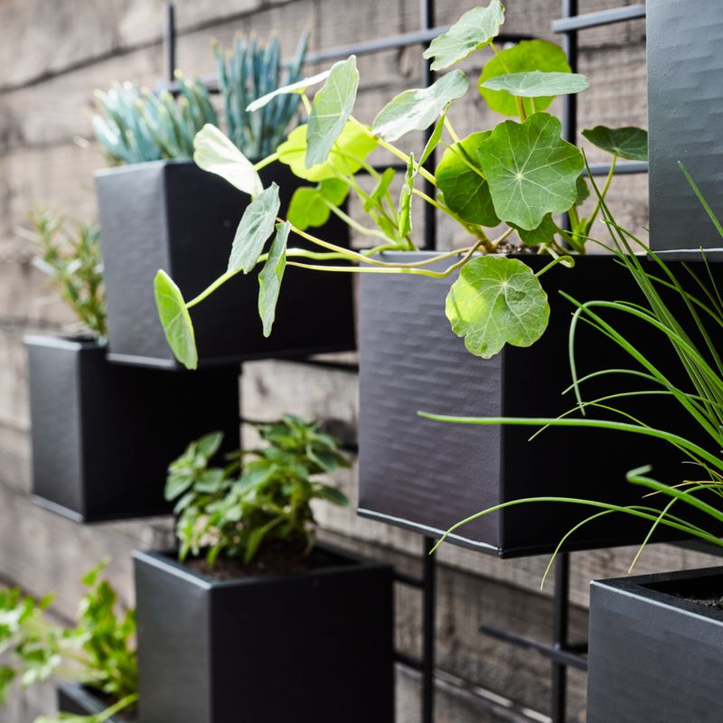 4 Box Wall Mounted Indoor/Outdoor Planter - image 7 of 14