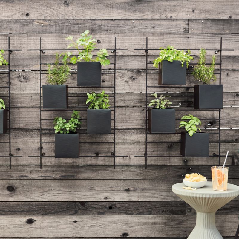 4 Box Wall Mounted Indoor/Outdoor Planter + Reviews | Crate & Barrel