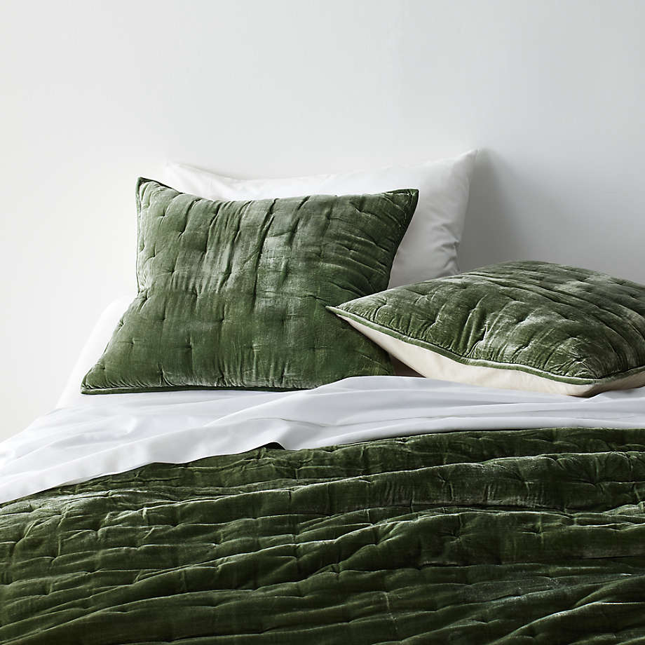 Juliet Agave Velvet Euro Sham Reviews Crate Barrel