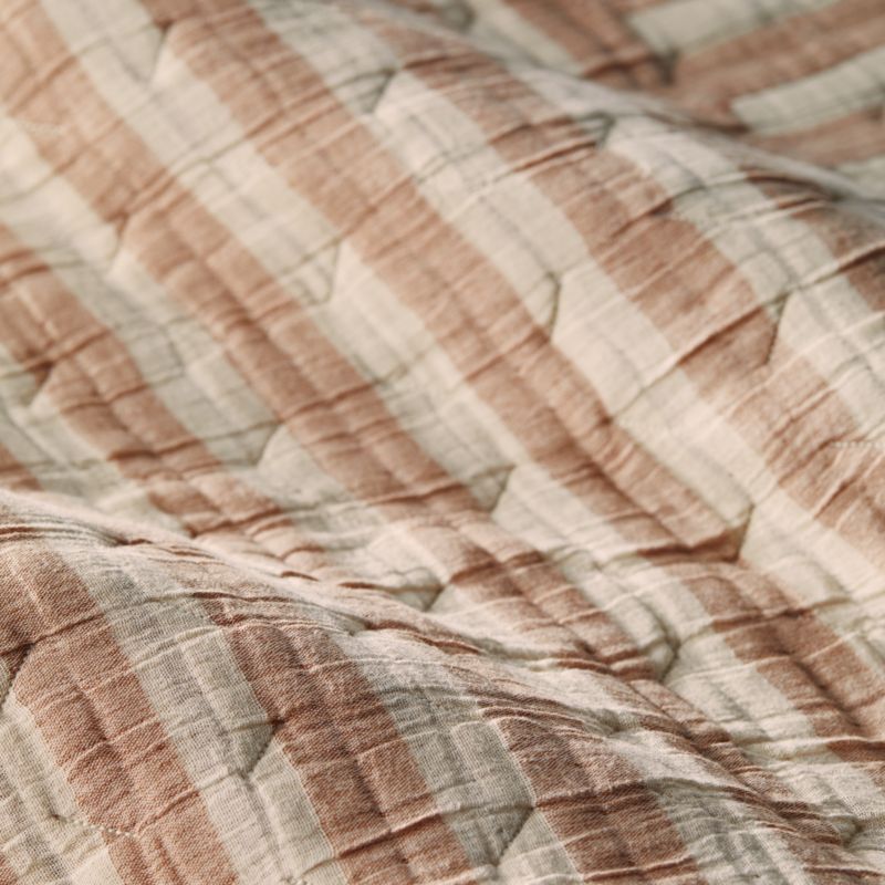 Yucatan Terracotta Stripe Euro Sham - image 3 of 4