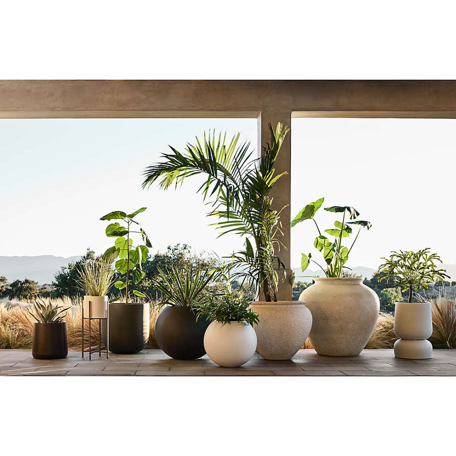 Crate and new arrivals barrel planters
