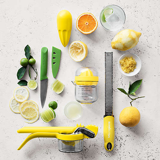 Crate & Barrel Mini Citrus Juicer with Cup
