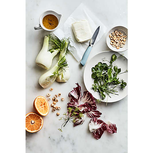 Aspen Porcelain Coupe Dinner Plate