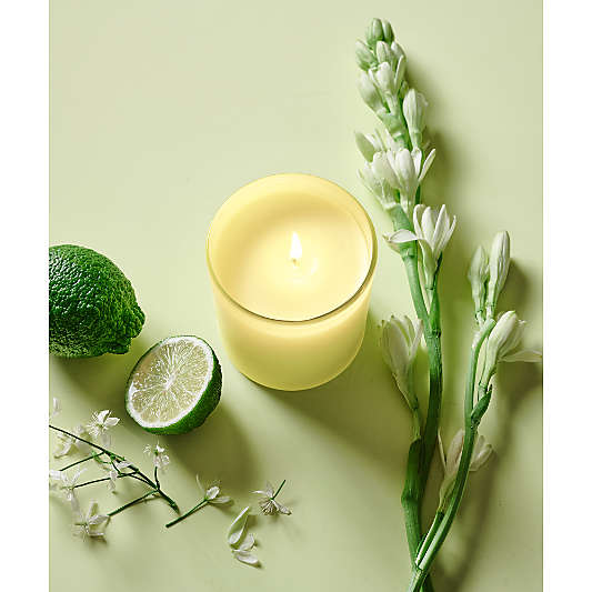 Monochrome No. 9 Citron Scented Candles and Reed Diffuser - Bergamot, Sandalwood and Tuberose