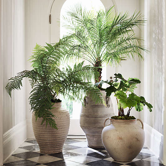 Cannes 29" Earthenware Indoor/Outdoor Planter by Laura Kim