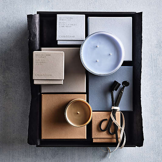 Apotheke Black Candle Snuffer and Wick Trimmer