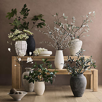 Stems & Branches