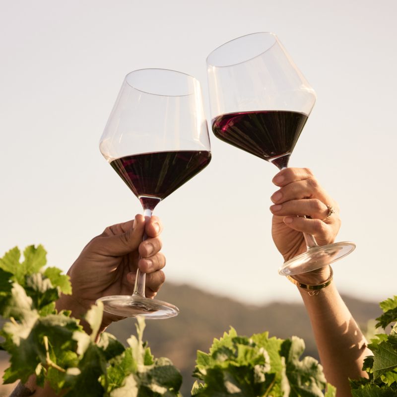 Wine Glasses