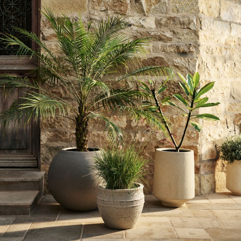 Outdoor Decor