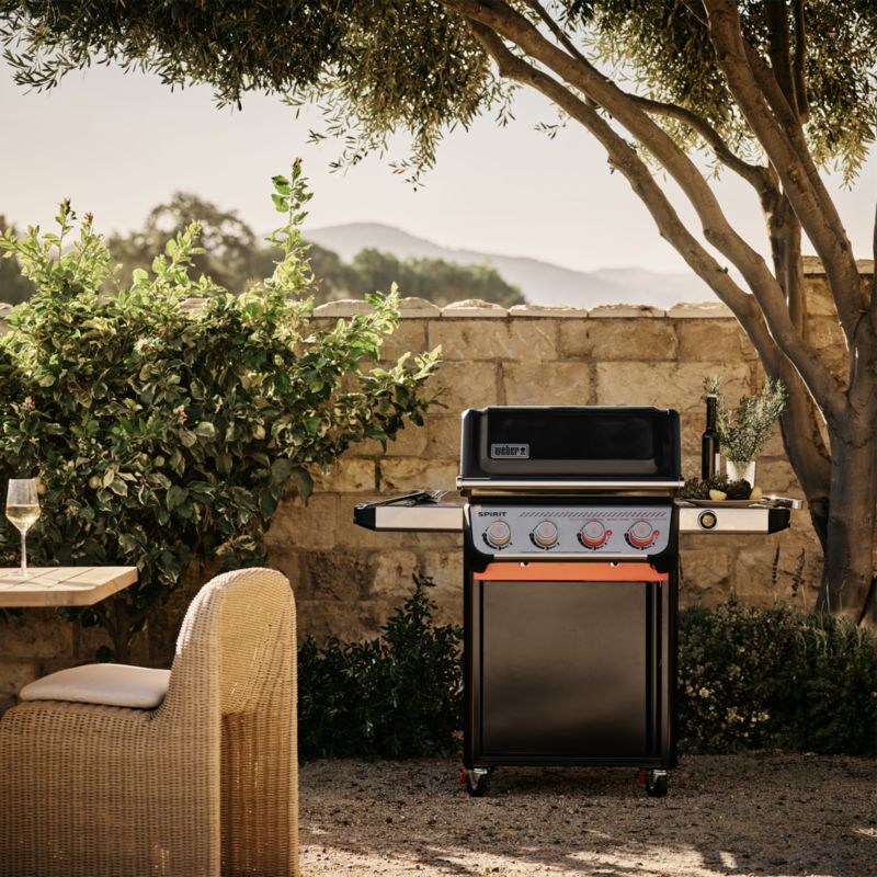 Barbecue & Grilling