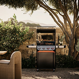 BBQ & Grilling