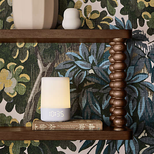 Jenny Lind Deep Brown Wood Kids Wall Shelf