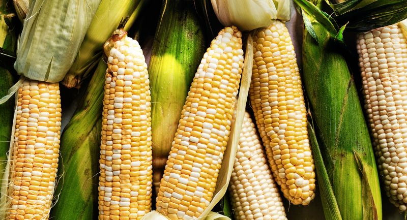shop summer produce essentials 