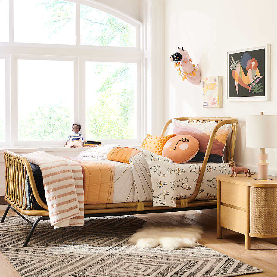 Crate and on sale barrel kids blanket