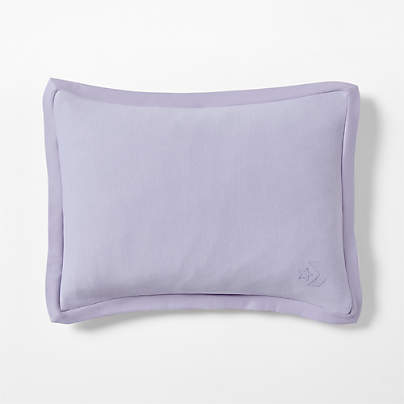 Converse Cozy Sweatshirt Pastel Periwinkle Organic Cotton Kids Pillow Sham