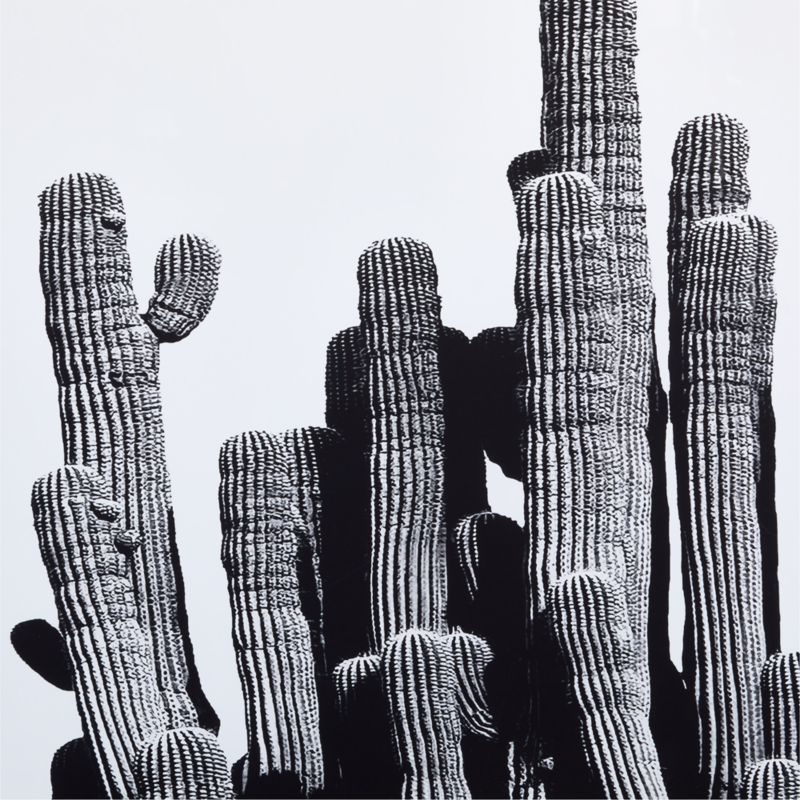 "Cactus" by Jennifer MaHarry 40"x60" Framed Photography Print - image 3 of 5