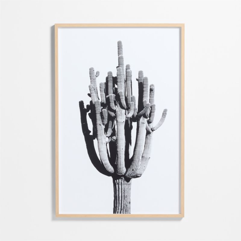 "Cactus" by Jennifer MaHarry 40"x60" Framed Photography Print - image 0 of 5