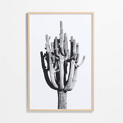 "Cactus" by Jennifer MaHarry 40"x60" Framed Photography Print