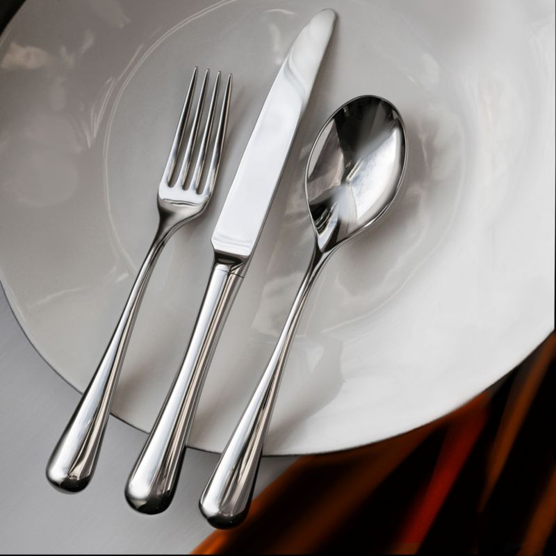 Caesna Air 5-Piece Silver Metallic Place Setting - image 4 of 5
