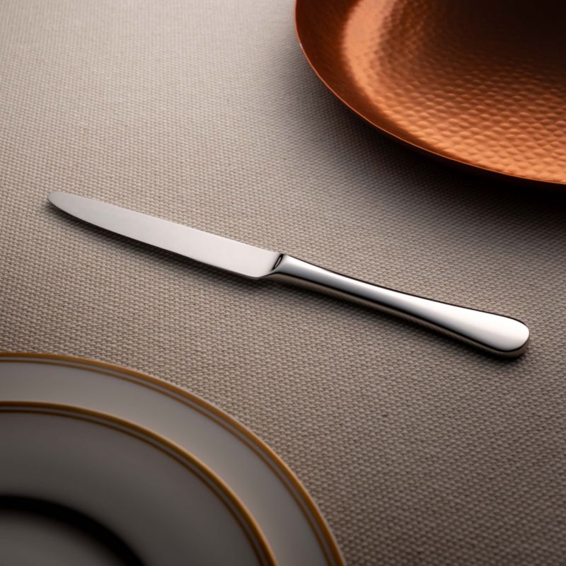 Caesna Mirror Dinner Knife - image 2 of 5
