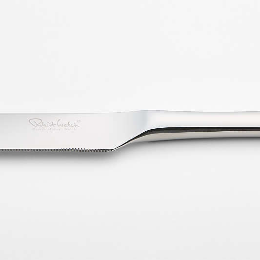 Caesna Mirror Cake Knife