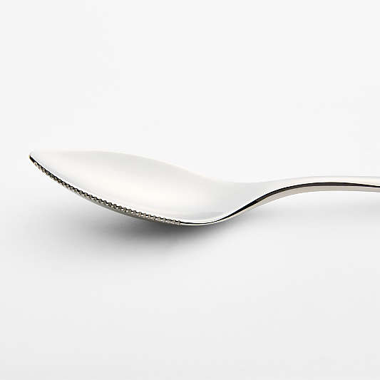 Caesna Mirror Grapefruit Spoon
