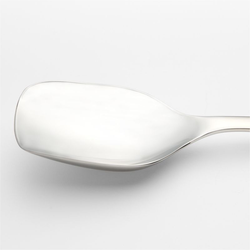 Caesna Mirror Scoop - image 2 of 3