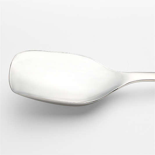 Caesna Mirror Scoop