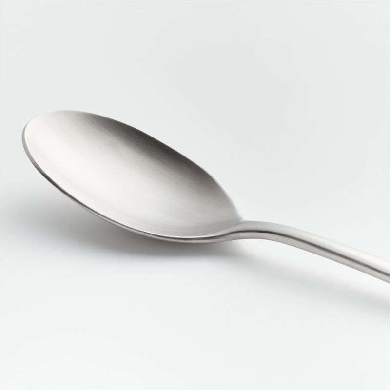 Caesna Satin Serving Spoon - image 1 of 3