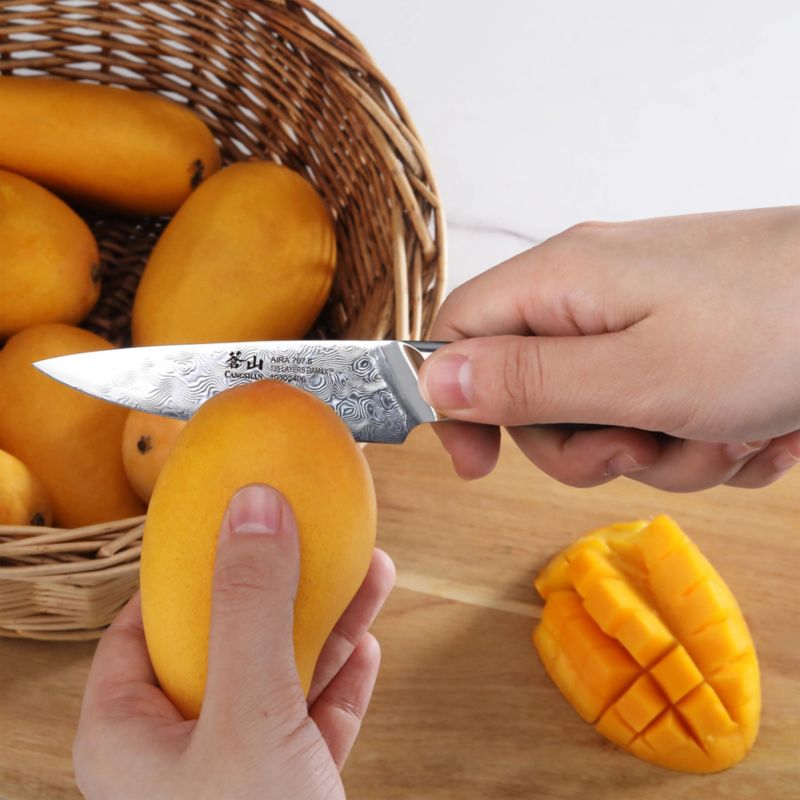 Cangshan ® AIRA 3.5" Pairing Knife with Sheath - image 1 of 8