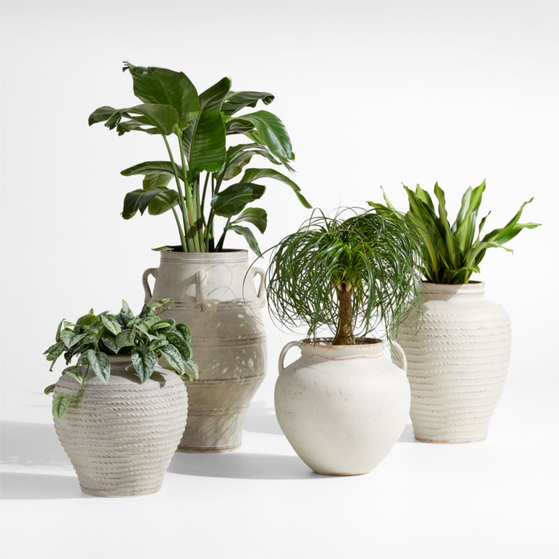 Cannes 17.5" Earthenware Indoor/Outdoor Planter by Laura Kim - image 2 of 7