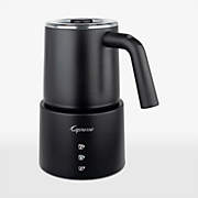 Bodum Schiuma Milk Frother Stainless Steel + Reviews