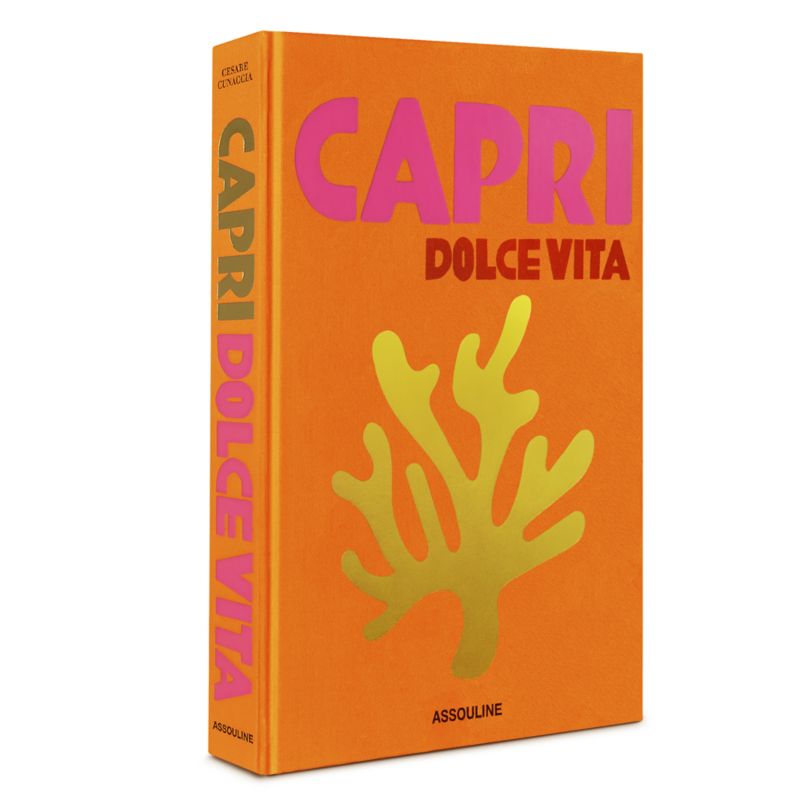 "Capri Dolce Vita" Travel Photography Book by Assouline Publishing - image 1 of 10