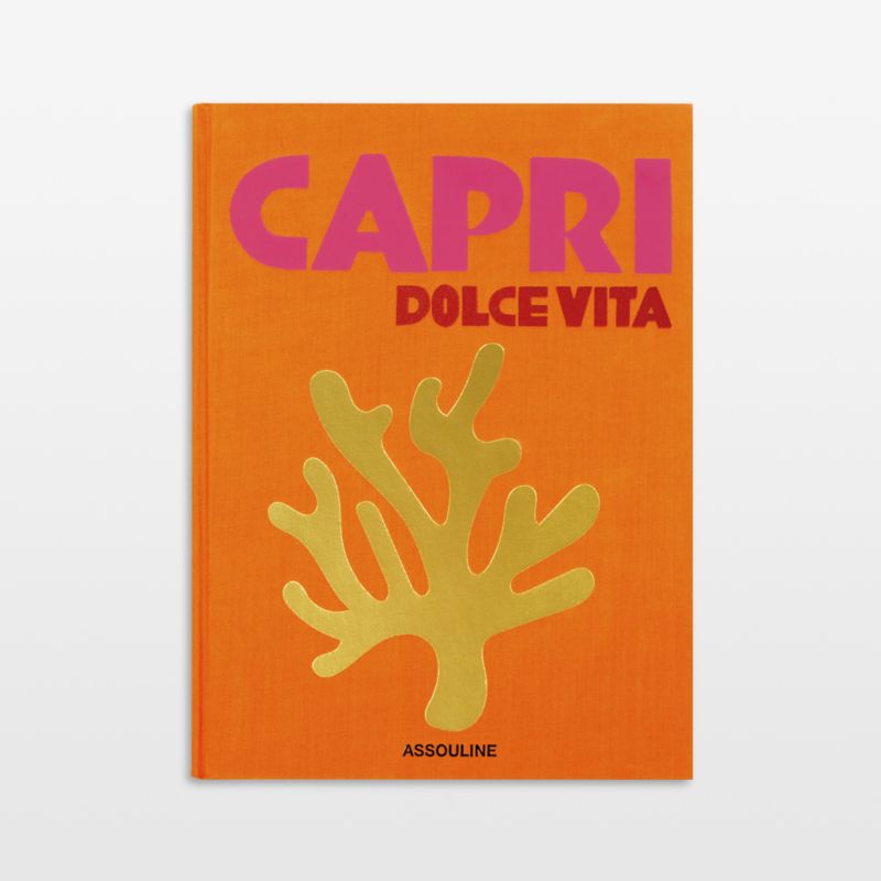 "Capri Dolce Vita" Travel Photography Book by Assouline Publishing - image 0 of 10