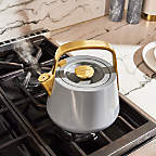 Caraway Home Graphite Stovetop Whistling Tea Kettle with Gold Hardware ...
