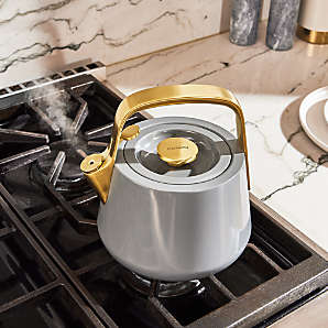 Induction Cooker Whistling Kettle from Apollo Box