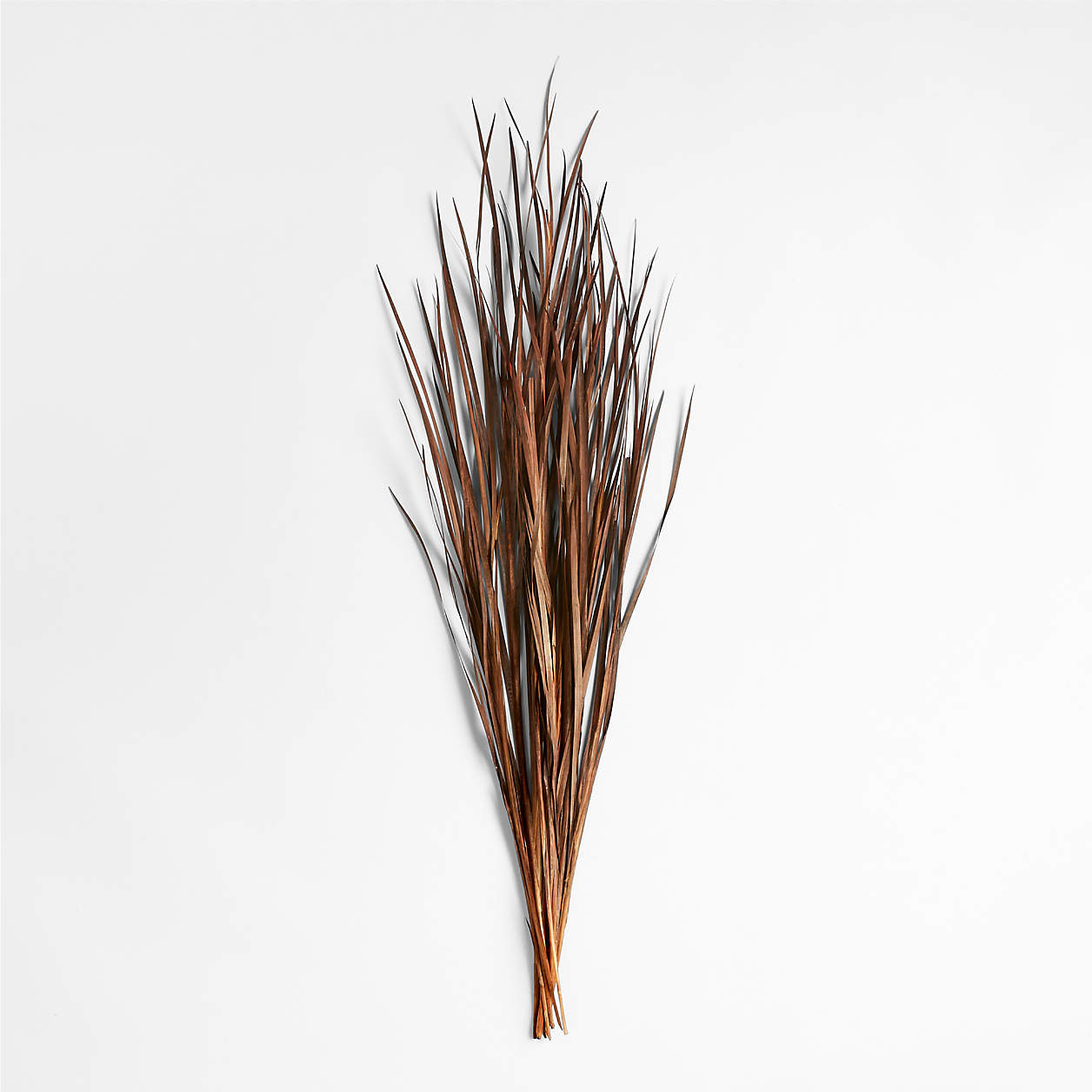 Caroline Decorative Dried Grass Bundle 42" by Leanne Ford + Reviews