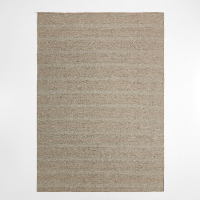 Catania Performance Handwoven Taupe Grey Indoor/Outdoor Area Rug 10'x14' - image 2 of 7