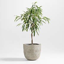 Cavo Warm Grey Textured Indoor/Outdoor Planter 20"x17.5" + Reviews | Crate & Barrel