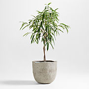 Cavo Warm Grey Textured Indoor/Outdoor Planter 24"x20"
