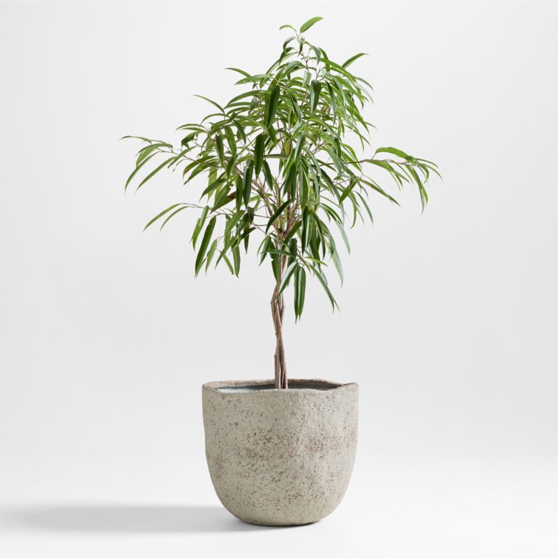 Cavo Warm Grey Textured Indoor/Outdoor Planter 24"x20"