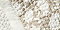 New! Light Beige Floral