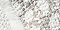 New! Light Beige Floral