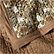 Taupe Desert Floral