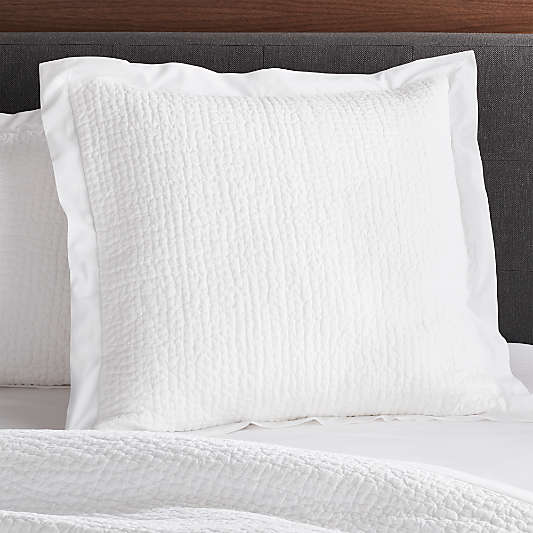 Celeste White Cotton Solid Euro Sham